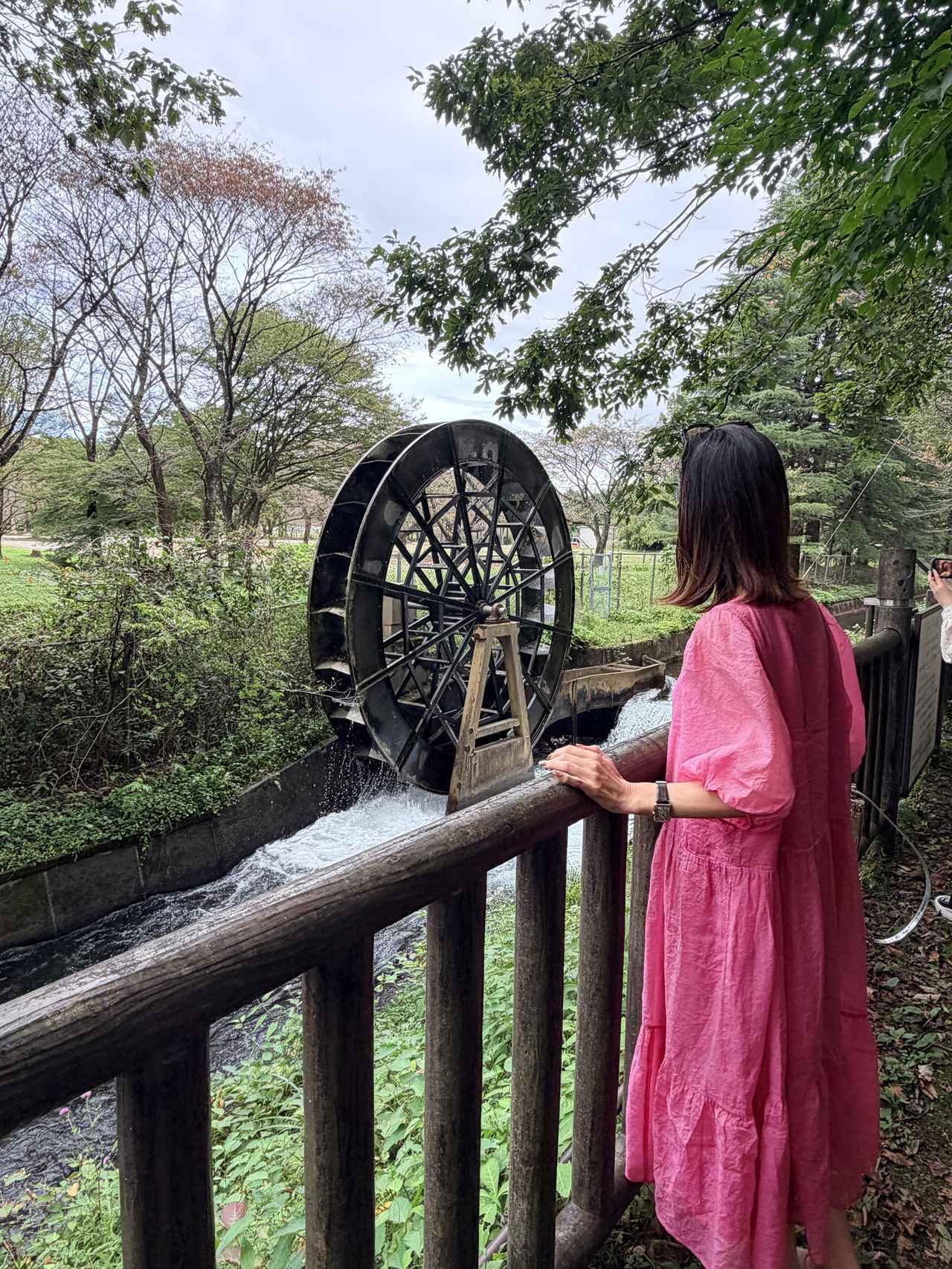 画像3: 明治の熱気と洗練に触れる♡那須野が原の日本遺産を巡るプレミアムオトナ旅