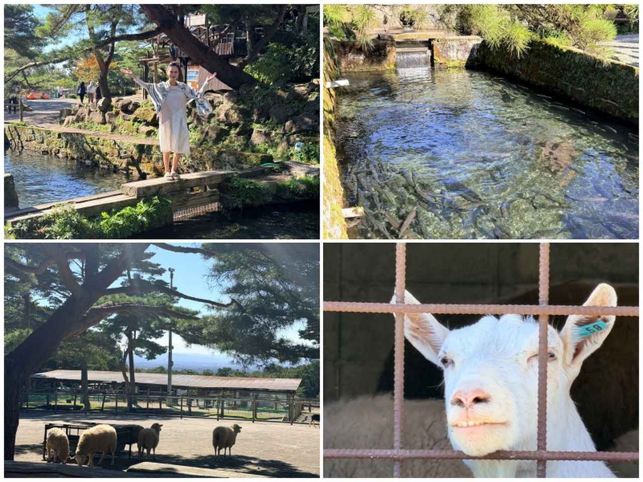 画像1: 広大な「自然と名湯」に心身をゆだねる