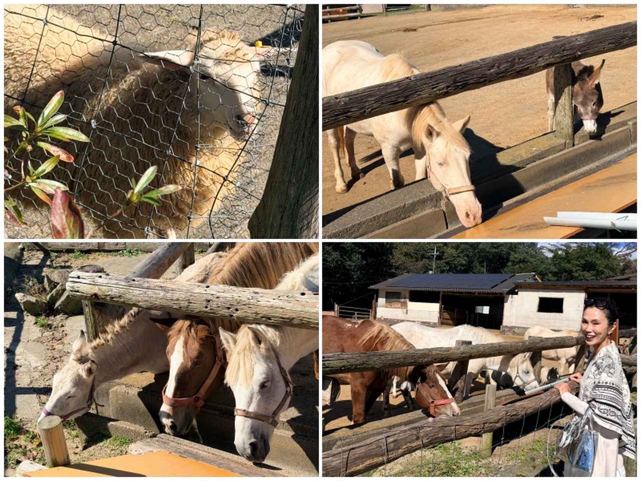画像2: 広大な「自然と名湯」に心身をゆだねる