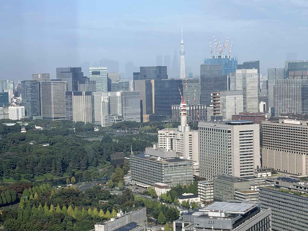 画像6: 巨峰・栗・無花果。秋の実りを38階で♡1 Hotel Tokyo「La Belle Vie Afternoon Tea」