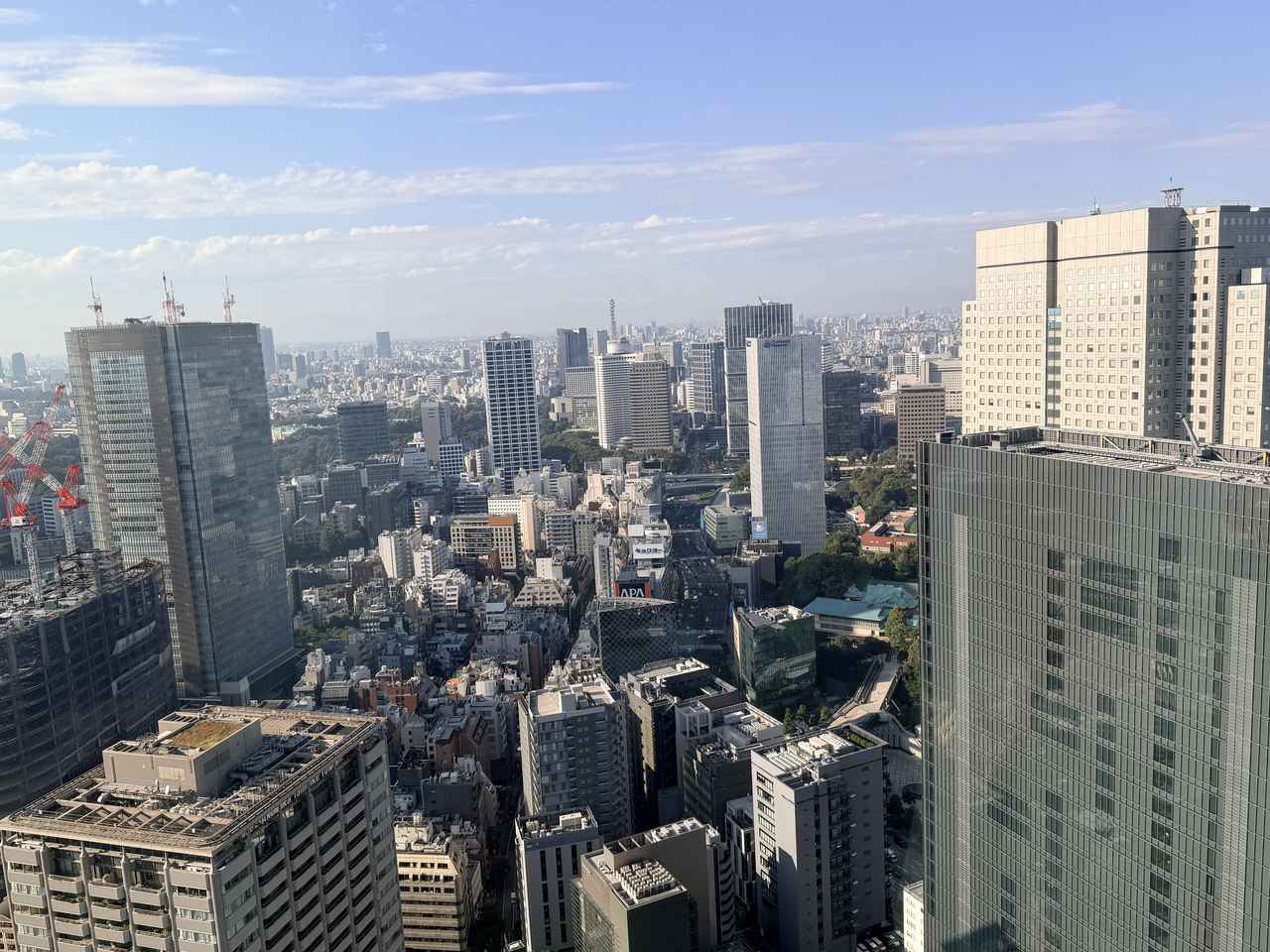 画像5: 巨峰・栗・無花果。秋の実りを38階で♡1 Hotel Tokyo「La Belle Vie Afternoon Tea」