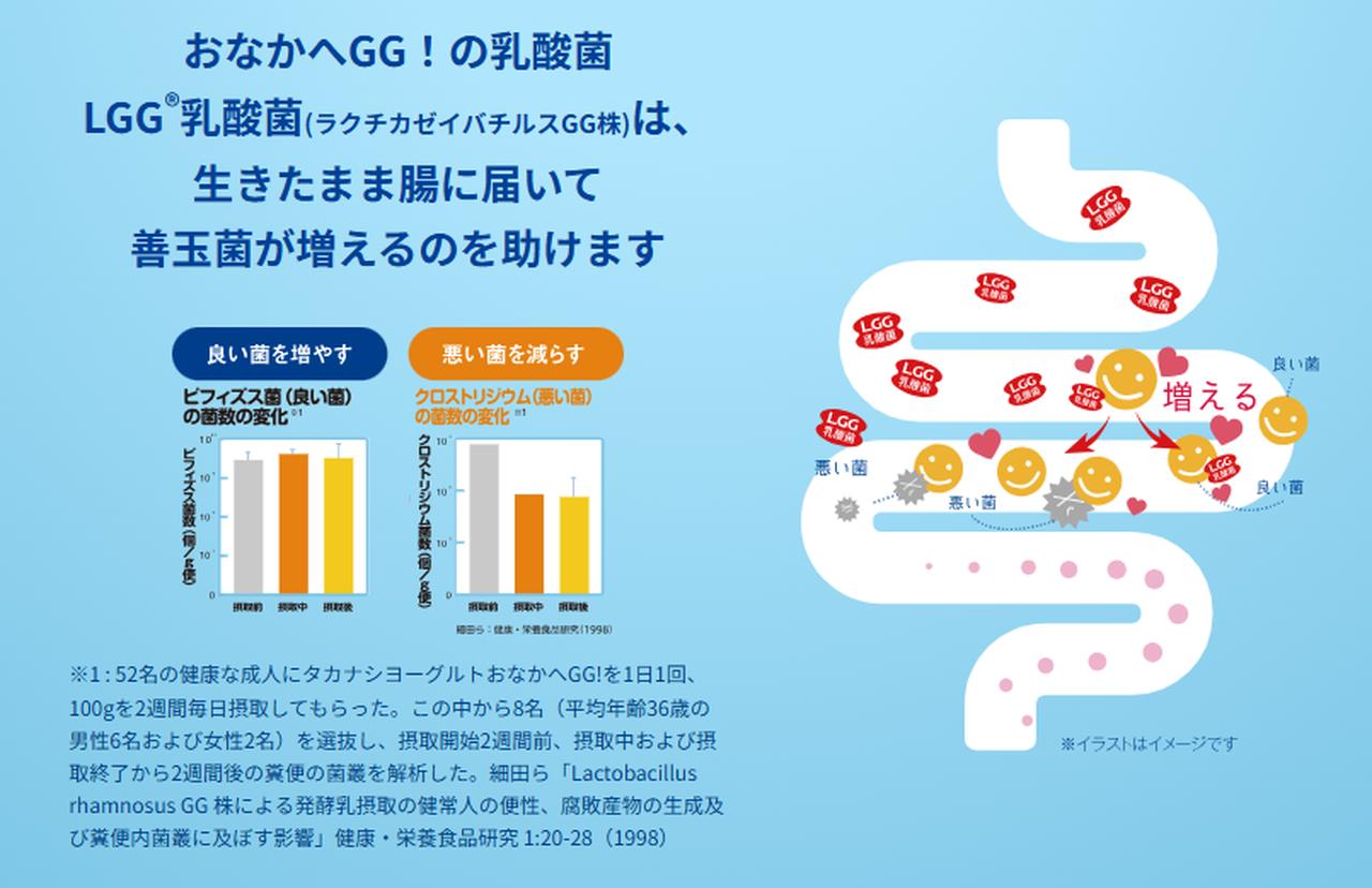 画像2: 生きたLGG®乳酸菌が140億個！特保の実力でおなかをケア