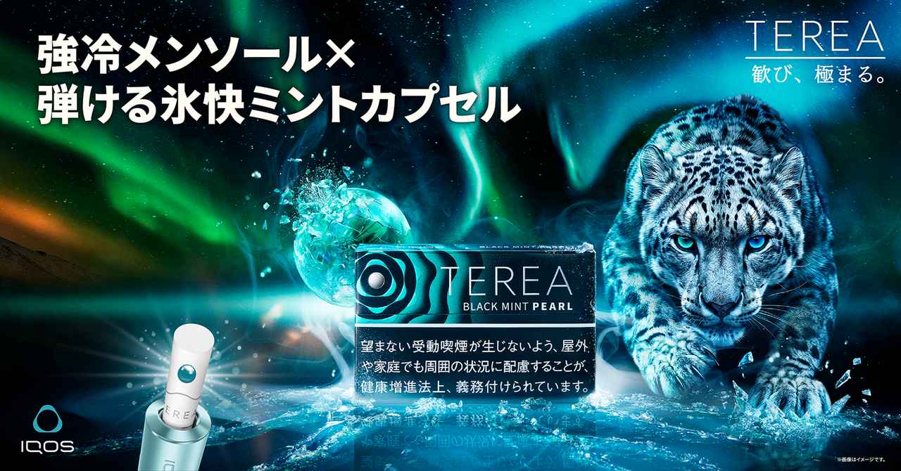 画像1: プチッと弾ける強冷＆追いミント！「テリア ブラック ミント パール」の真実