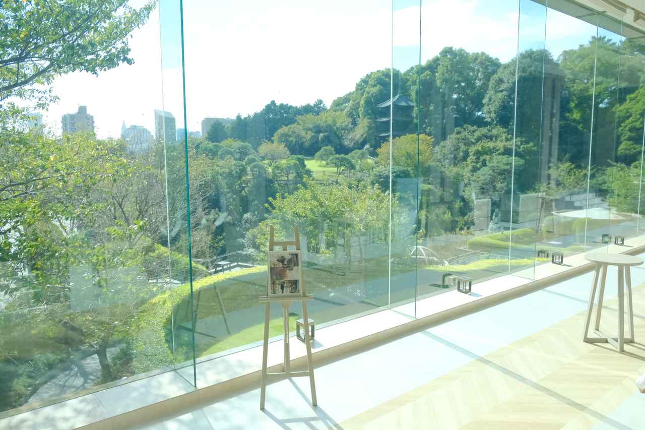 画像: 森と空の絶景を感じながら、バンケットへと歩みを進めます。
