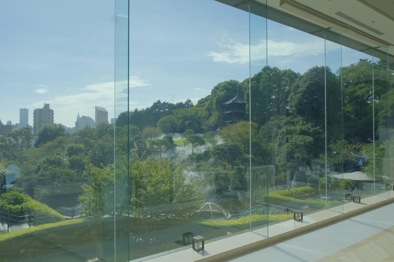 画像1: 【取材レポ】絶景とおもてなしが織りなす記憶に残る祝宴を。都心とは思えない森と空の絶景の新披露宴会場「フォレスタ」がホテル椿山荘東京に誕生!
