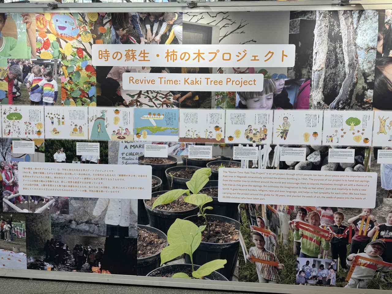 画像1: 宮島 達男氏：「柿の木プロジェクト」と「時の海」「Mutual Counterpoint」