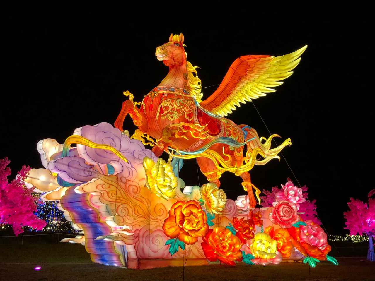画像23: 秋の東京ドイツ村で絶景花畑とイルミネーションを満喫見どころ&楽しみ方ガイド