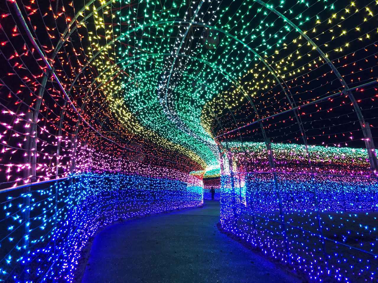 画像19: 秋の東京ドイツ村で絶景花畑とイルミネーションを満喫見どころ&楽しみ方ガイド