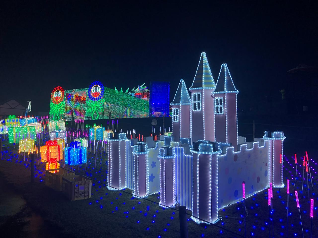 画像18: 秋の東京ドイツ村で絶景花畑とイルミネーションを満喫見どころ&楽しみ方ガイド