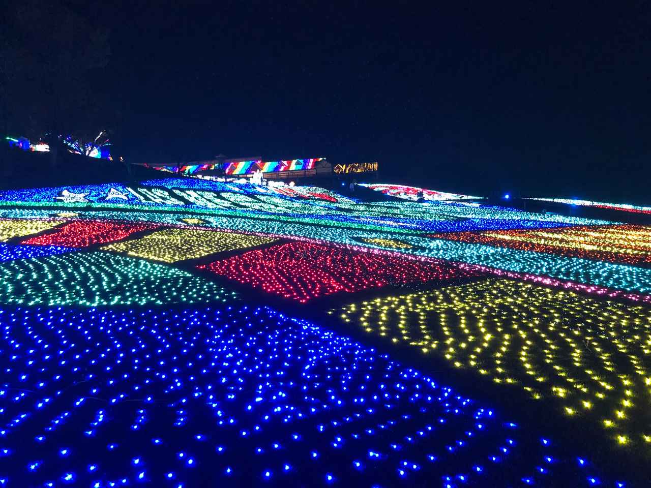 画像21: 秋の東京ドイツ村で絶景花畑とイルミネーションを満喫見どころ&楽しみ方ガイド