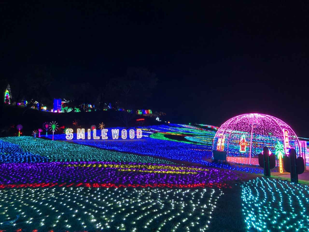 画像20: 秋の東京ドイツ村で絶景花畑とイルミネーションを満喫見どころ&楽しみ方ガイド