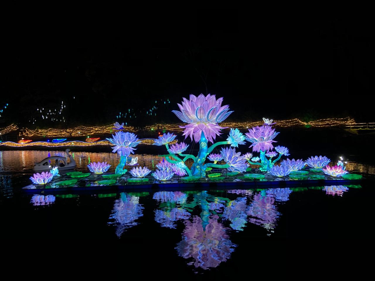 画像22: 秋の東京ドイツ村で絶景花畑とイルミネーションを満喫見どころ&楽しみ方ガイド