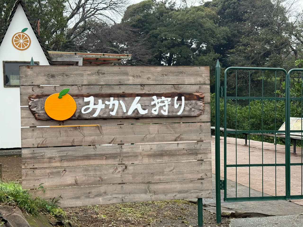 画像10: 秋の東京ドイツ村で絶景花畑とイルミネーションを満喫見どころ&楽しみ方ガイド