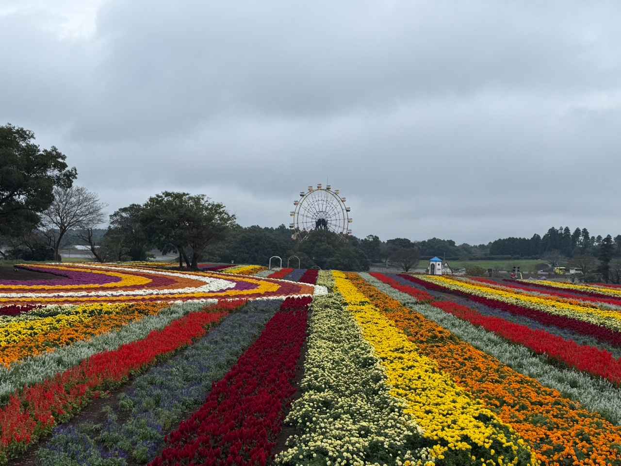 画像3: 秋の東京ドイツ村で絶景花畑とイルミネーションを満喫見どころ&楽しみ方ガイド