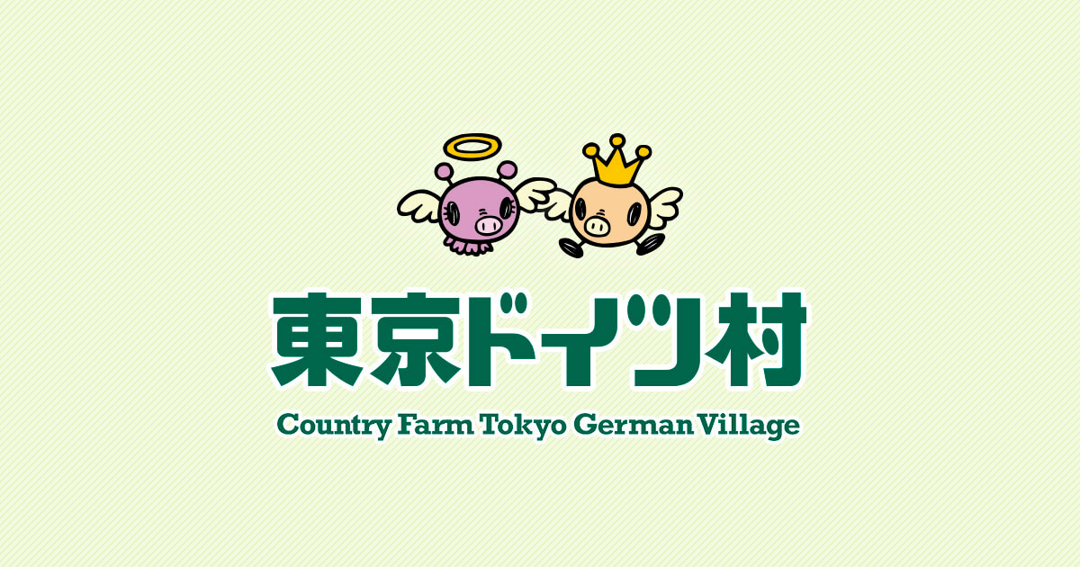 画像: 東京ドイツ村 | 千葉県袖ケ浦市にある花と緑のテーマパーク