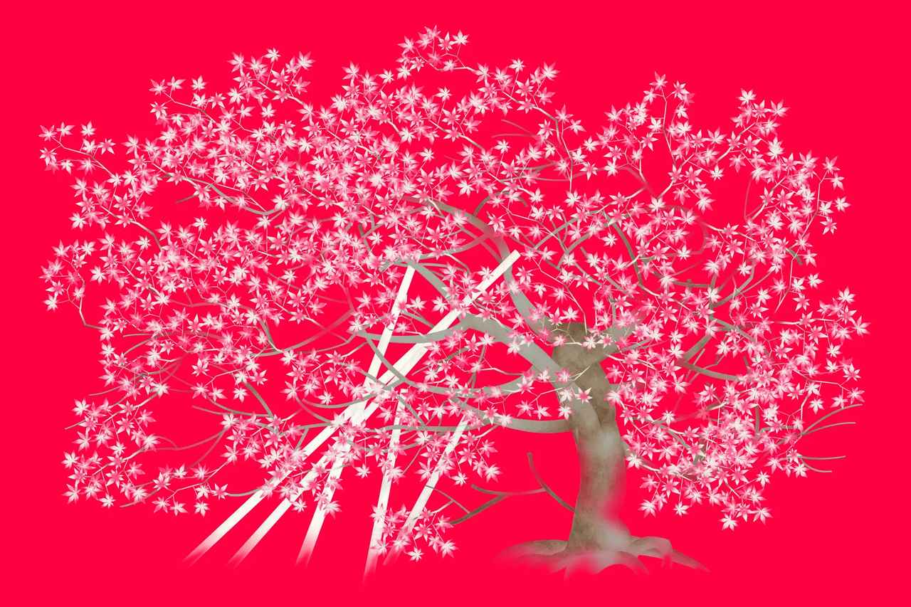 画像1: 京都の紅葉を描いた新作《平安紅葉図》