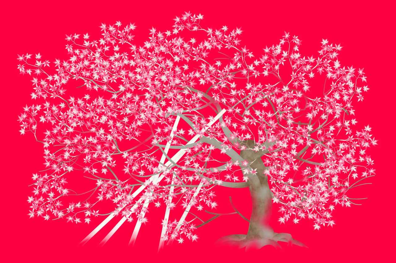 画像: 矢後直規 グラフィック展『Pangraphics』 | Pangraphics