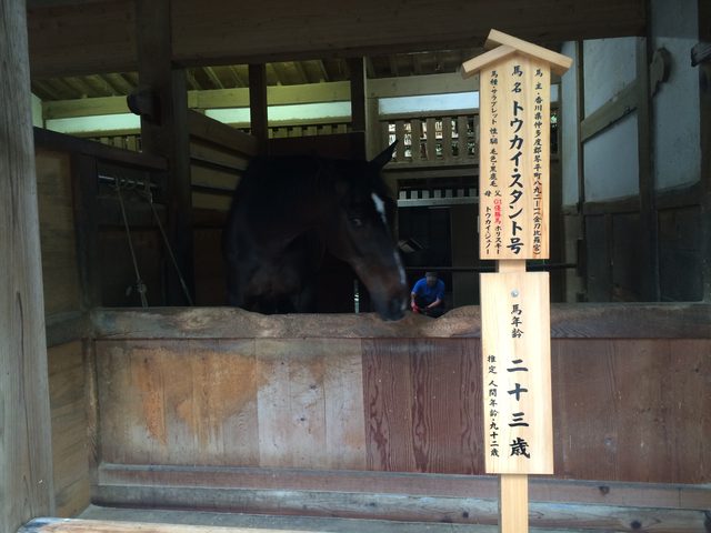 画像4: 香川の有名パワースポット! 金刀比羅宮