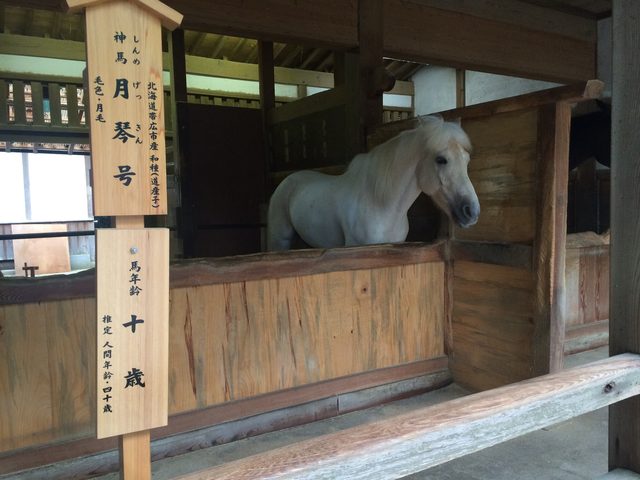 画像3: 香川の有名パワースポット! 金刀比羅宮