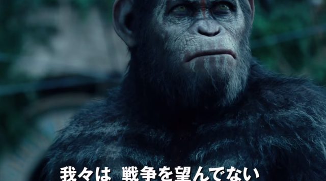 画像: 戦うことを避けようと願う。