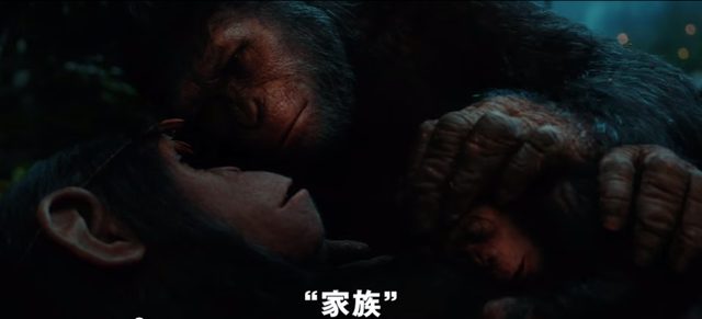 画像: 家族を思い、友人を大切にしたいと願う。