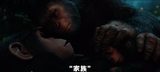 画像: 家族を思い、友人を大切にしたいと願う。