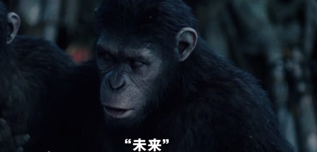 画像: エイプたちも人間も、等しく未来を夢見る。