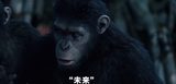 画像: エイプたちも人間も、等しく未来を夢見る。