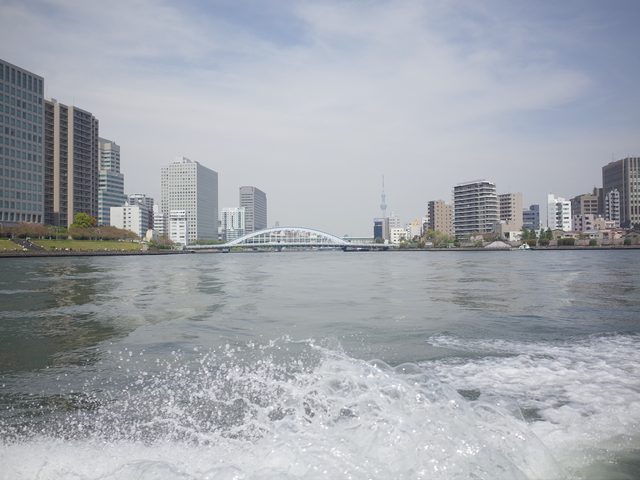 画像: 遠くにスカイツリータワー。