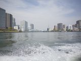 画像: 遠くにスカイツリータワー。