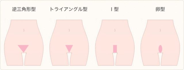 画像: www.hygienina.cc