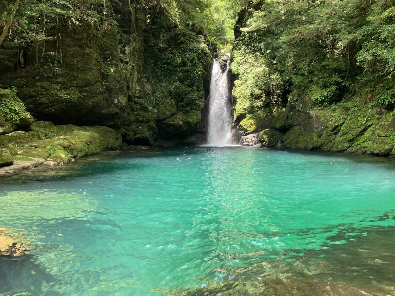 画像: 【ひとり旅プラン】奥入瀬渓流や知床五湖で自然を満喫！ マイナスイオンを感じる癒し旅5選 - singles （シングルス） - “おひとりさま”にフォーカスした情報サイト