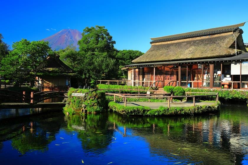 画像: ＜ひとり旅＞『贅沢！艶やかグリーンのシャインマスカット1房狩りと神秘的な忍野八海』【新宿　出発】｜クラブツーリズム