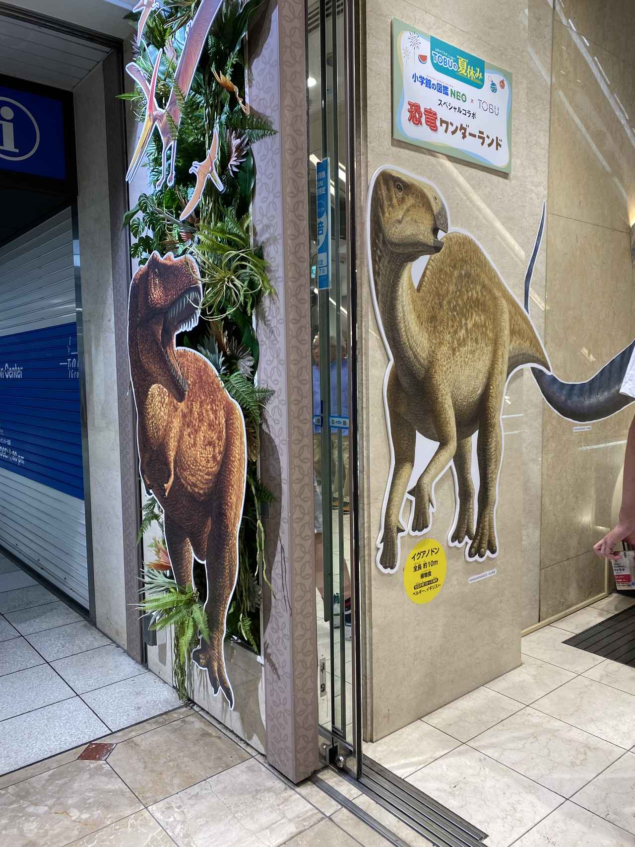画像1: 東武百貨店にて撮影
