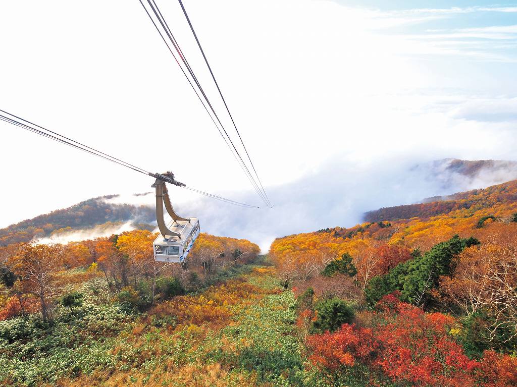 画像: ＜ひとり旅＞『白馬・ソラテラスの絶景紅葉　信州３つのテラスめぐり　２日間』｜クラブツーリズム