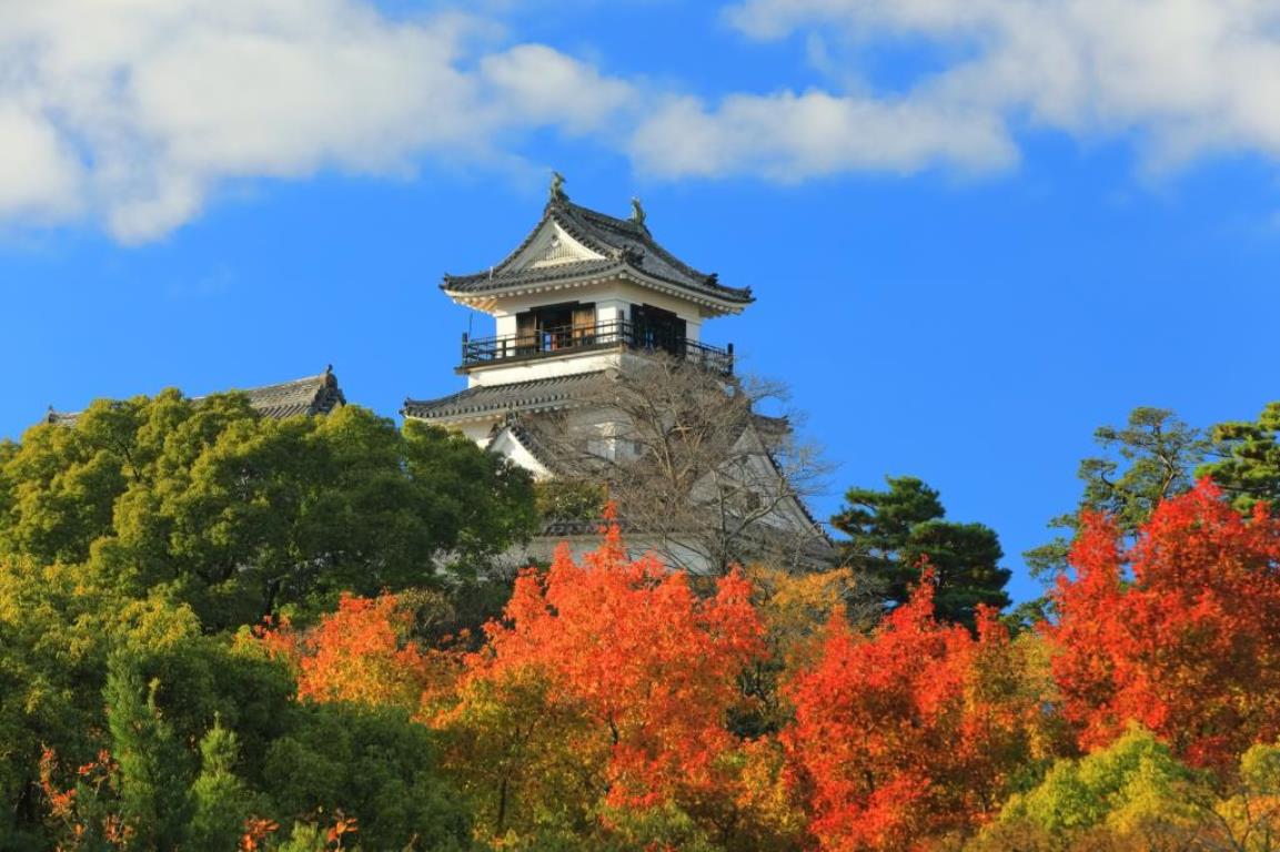 画像: ＜ひとりの贅沢＞『秋めく四国　臥龍山荘・松山城・高知城　道後温泉と全30室の「四万十の宿」　3日間』｜クラブツーリズム