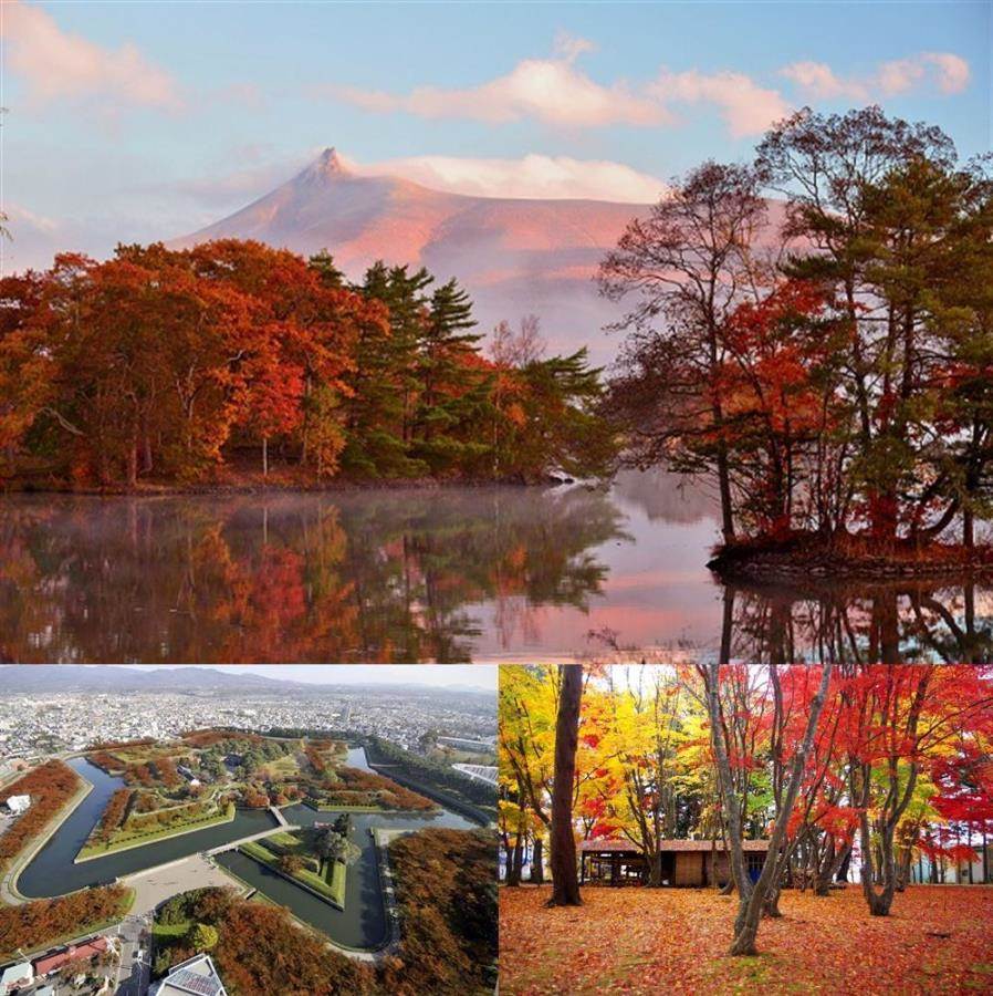 画像: ＜ひとり旅＞『五稜郭公園・香雪園・大沼国定公園をめぐる　秋色に染まる函館を極める旅　２日間』｜クラブツーリズム
