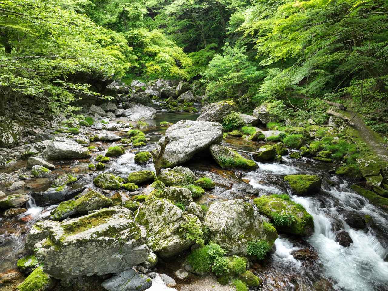 画像: 【ひとり旅プラン】白糸の滝や駿河湾クルーズ！ 避暑地を求めるツアー5選 - singles （シングルス） - “おひとりさま”にフォーカスした情報サイト