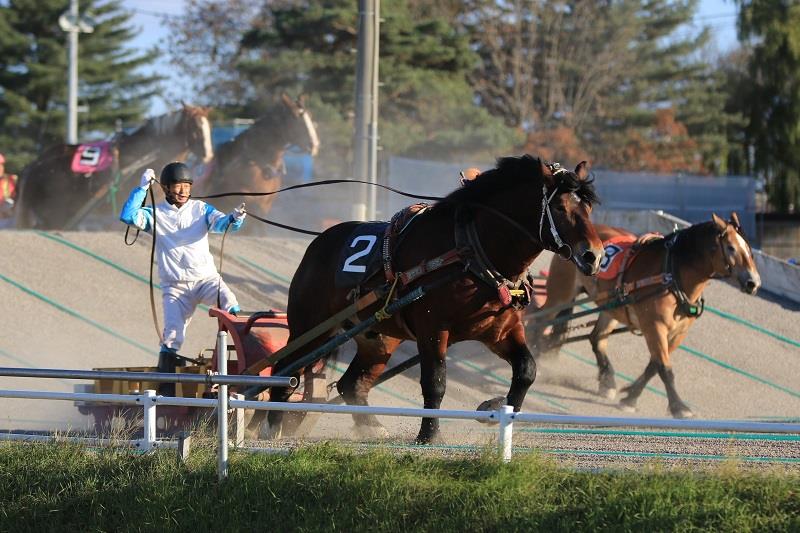 画像: ＜ひとり旅＞『催行決定！ばんえい競馬クラブツーリズムカップと秋色の帯広 ２日間／帯広・グランテラス帯広（夕食なし）宿泊プラン』｜クラブツーリズム
