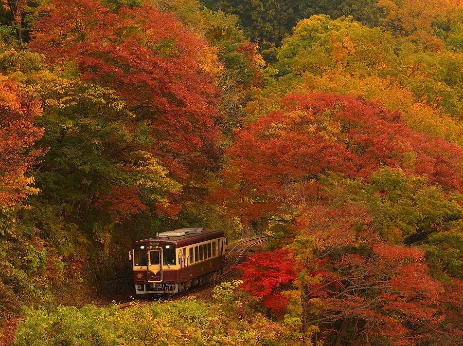 画像: ＜ひとり旅＞『紅葉絶景5景錦秋のわたらせ渓谷鉄道と奥只見湖遊覧船』【上野出発】｜クラブツーリズム