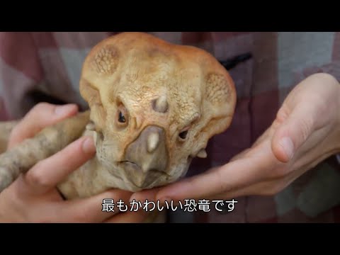 画像1: - YouTube youtu.be