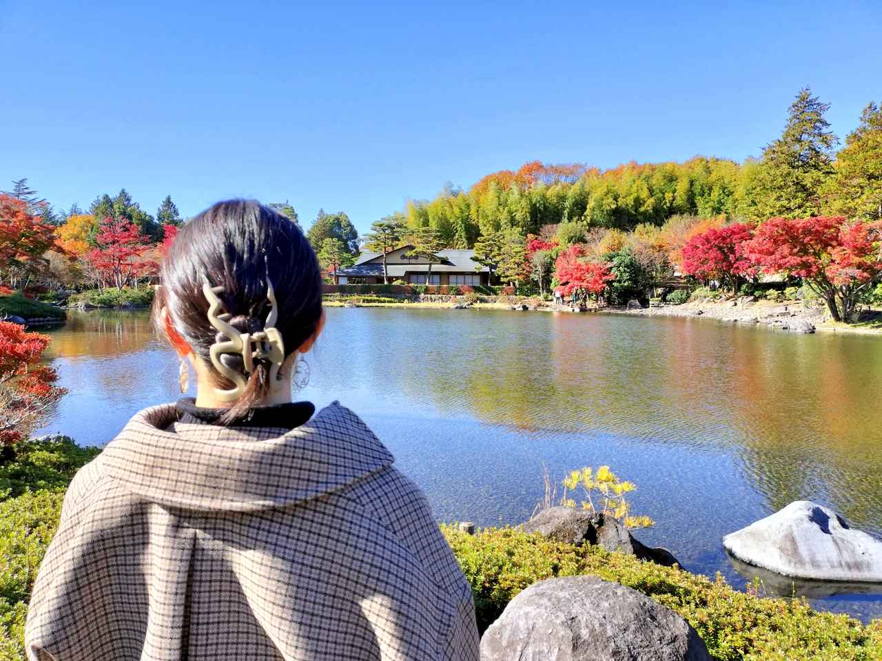 画像: 【ひとり旅プラン】函館で一足早い紅葉を！ 秋の始まりに行きたい紅葉ツアー - singles （シングルス） - “おひとりさま”にフォーカスした情報サイト