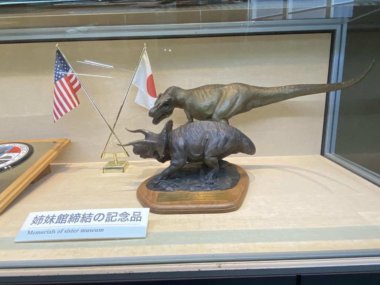 画像2: ミュージアムパーク 茨城県自然博物館にて撮影