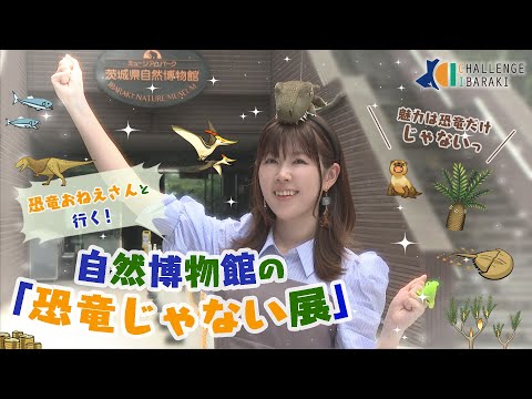 画像: - YouTube youtu.be