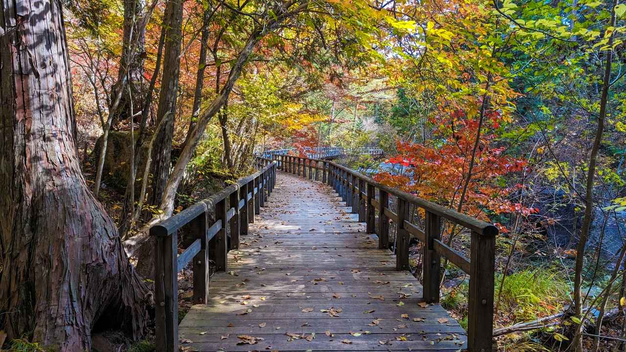 画像: 紅葉とハイキングで非日常を楽しもう