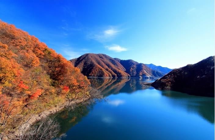画像: ＜ひとり旅＞『法恩寺温泉の弊社Aランク指定ホテルに宿泊　紅葉映える広大な湖「九頭竜湖」と永平寺・福井県立恐竜博物館　２日間』｜クラブツーリズム