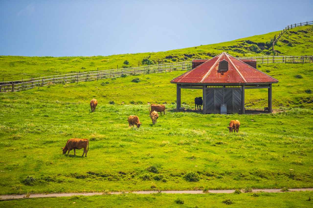 画像: 熊本で観光もホテルステイも満喫しよう