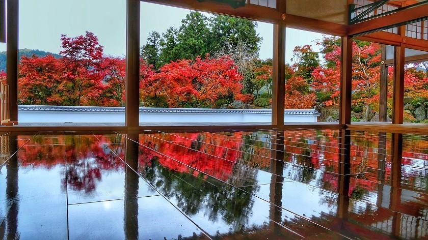 画像: <女性限定ひとり旅>『絶景!宝徳寺「床もみじ」紅葉リフレクションと心温まる「富弘美術館」鑑賞』【新宿 出発】|クラブツーリズム
