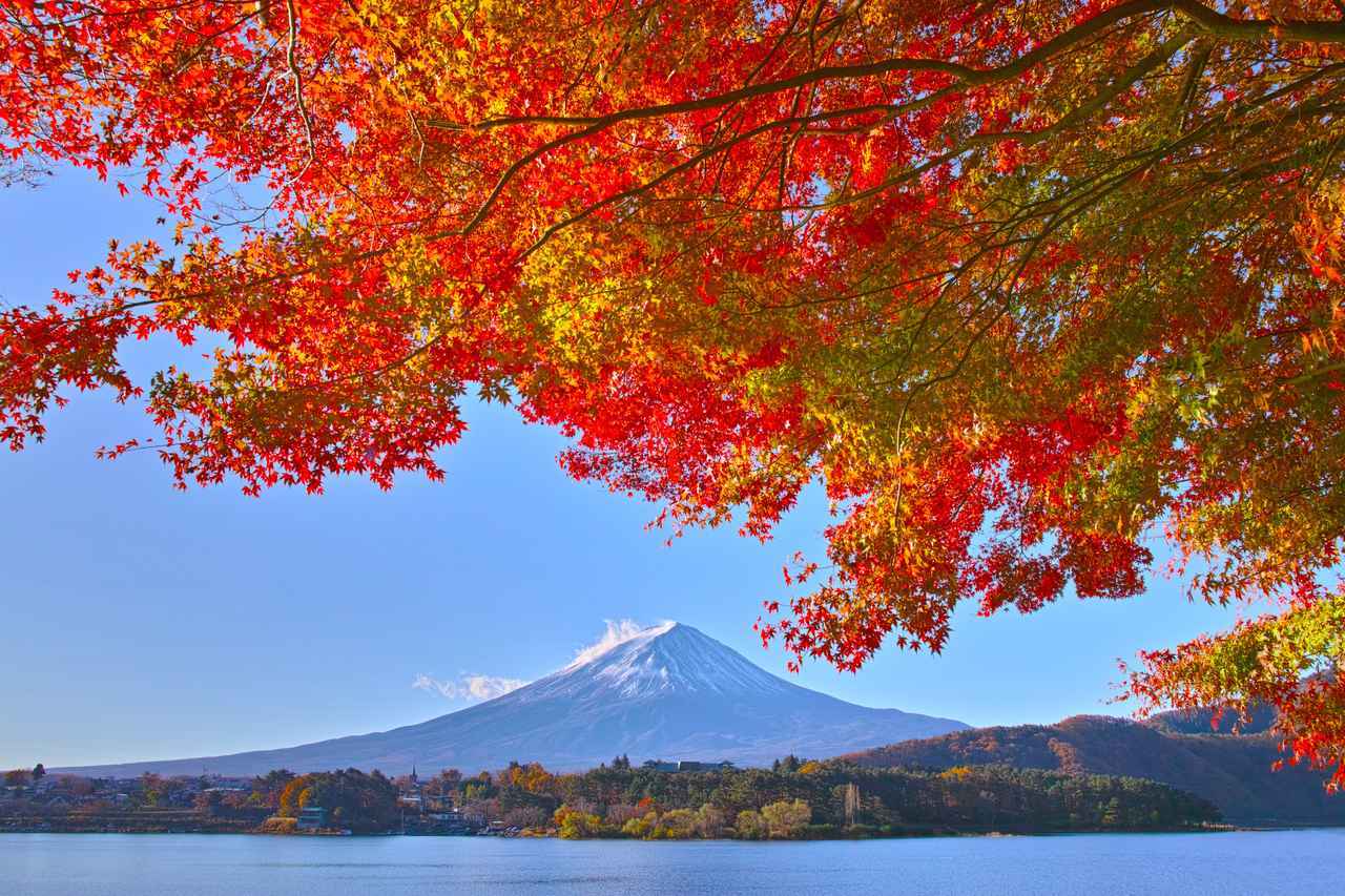 画像: 紅葉の地域ごとの期間の違い