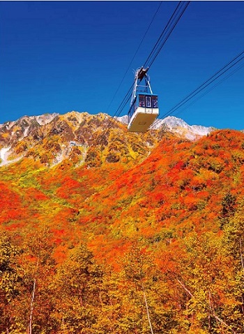 画像: 【ひとりの贅沢／バス席１人２席(アルペン除く)】紅葉のアルペンルーと黒部渓谷トロッコ電車・2泊目別邸四季彩プラン　３日間｜クラブツーリズム